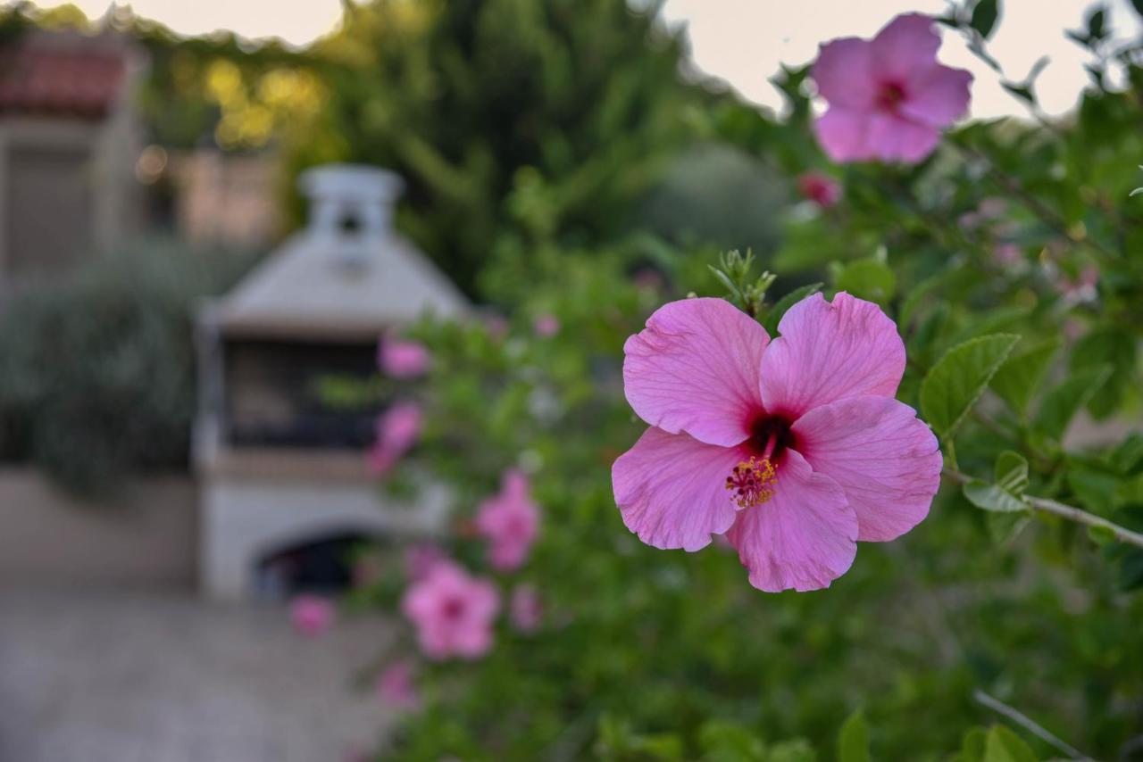 Villabayviewcrete Hersonissos  Exterior foto